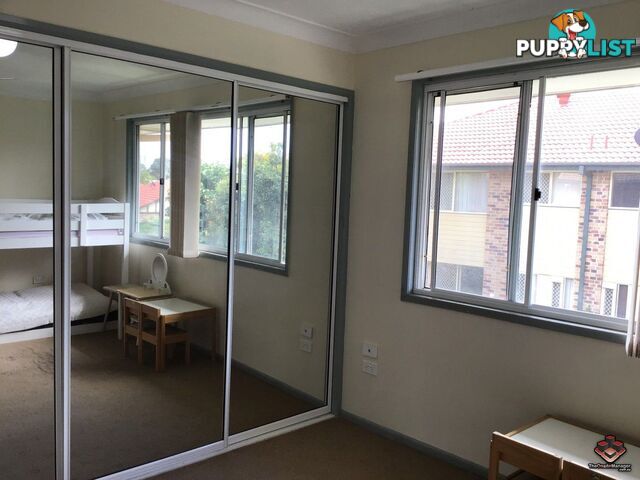 ID:21080599 50 St Kevins Avenue Benowa QLD 4217