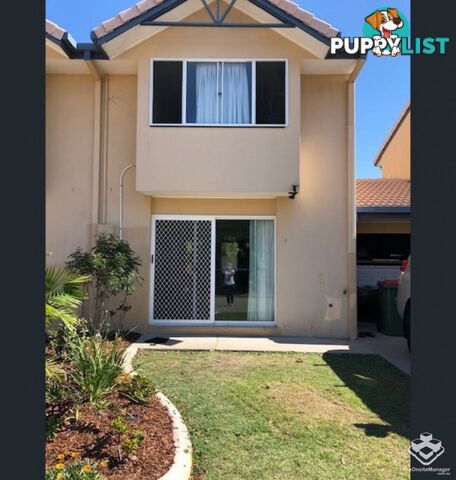ID:21080599 50 St Kevins Avenue Benowa QLD 4217