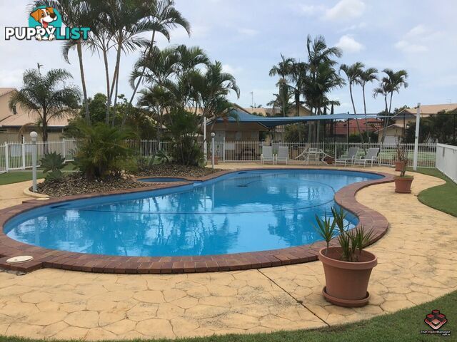ID:21080599 50 St Kevins Avenue Benowa QLD 4217