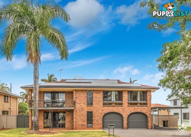 11 Mapleleaf Street Eight Mile Plains QLD 4113