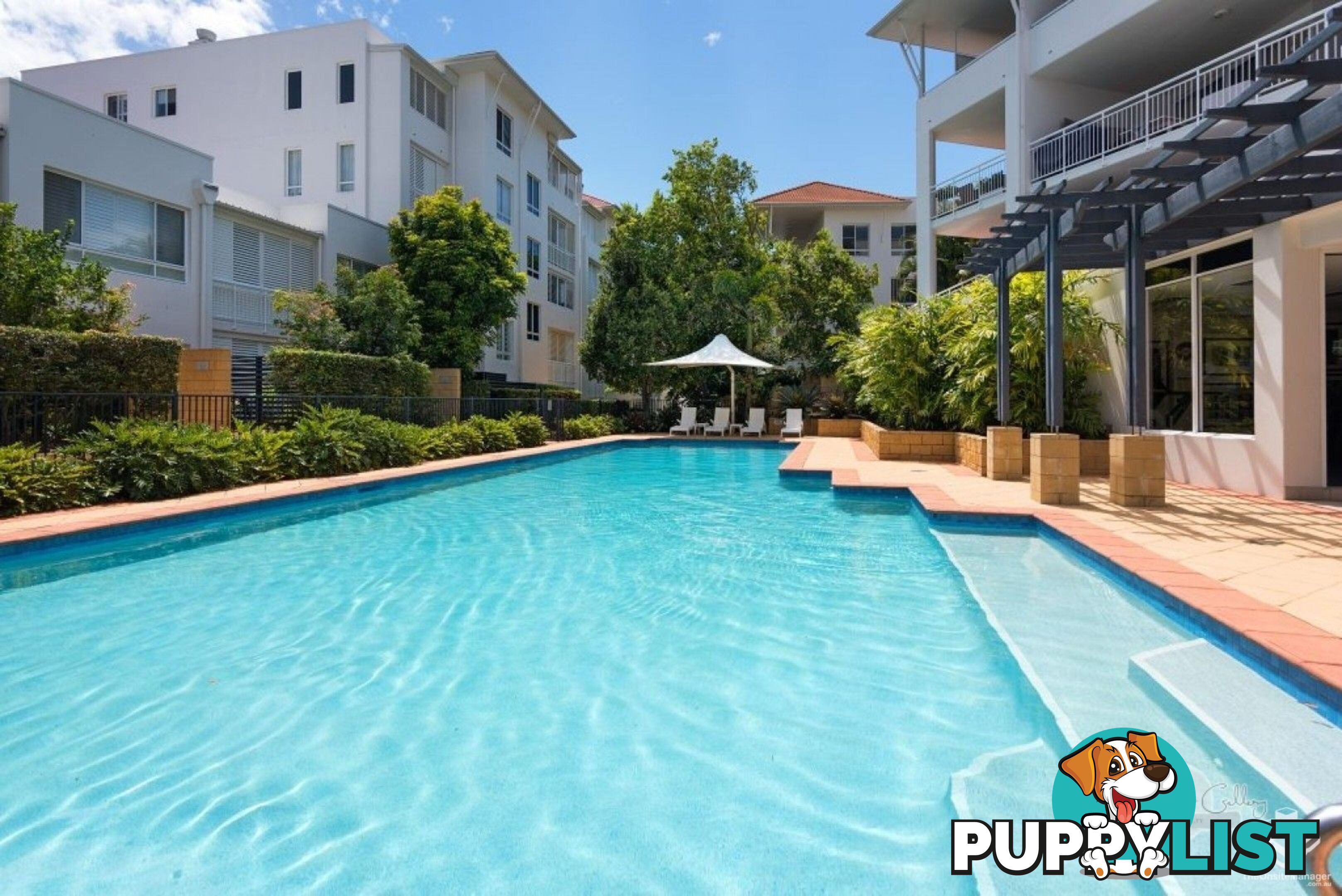 ID:21156691 6 Merthyr Road New Farm QLD 4005
