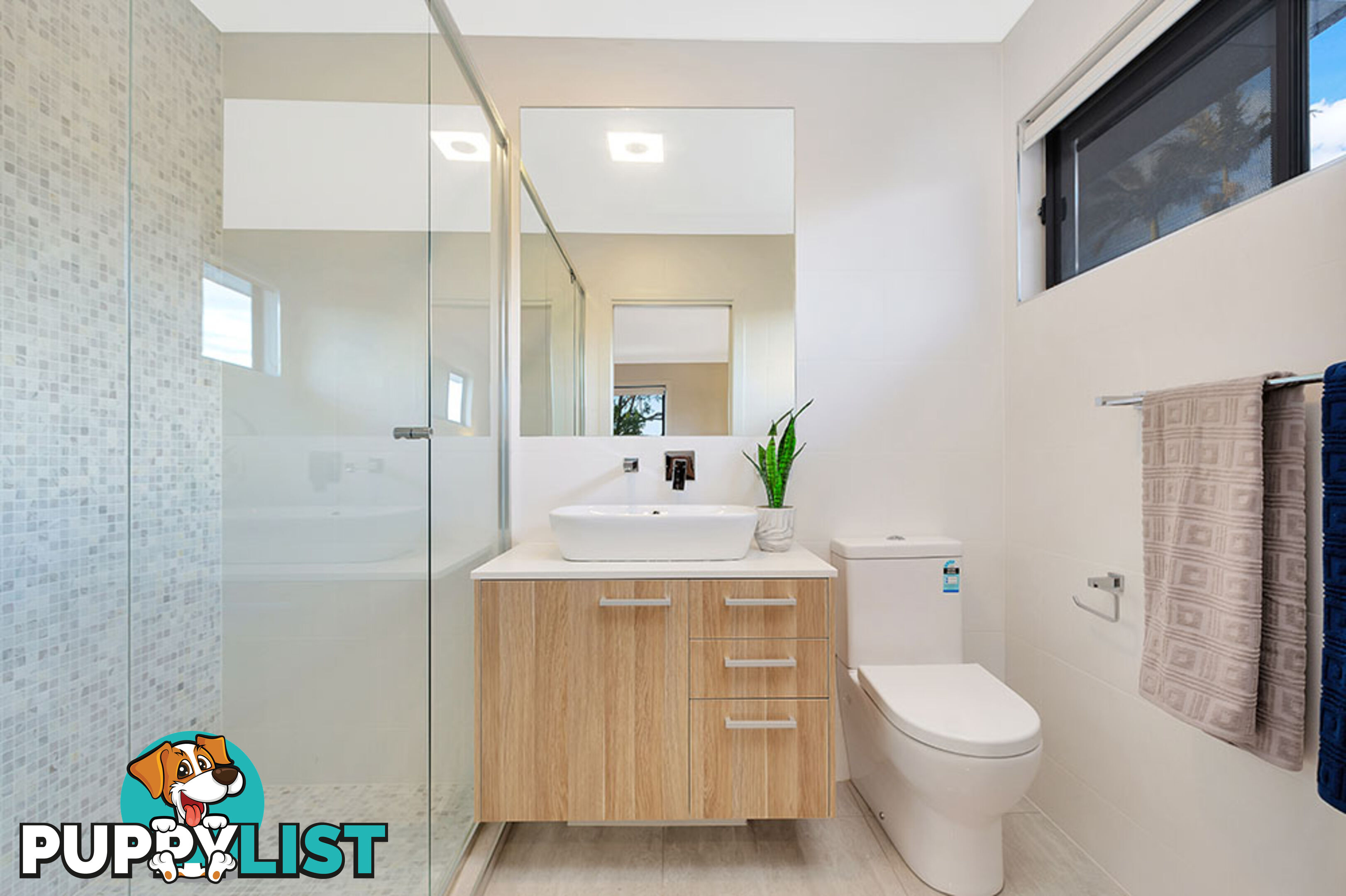 51 Carousel Street Hillcrest QLD 4118