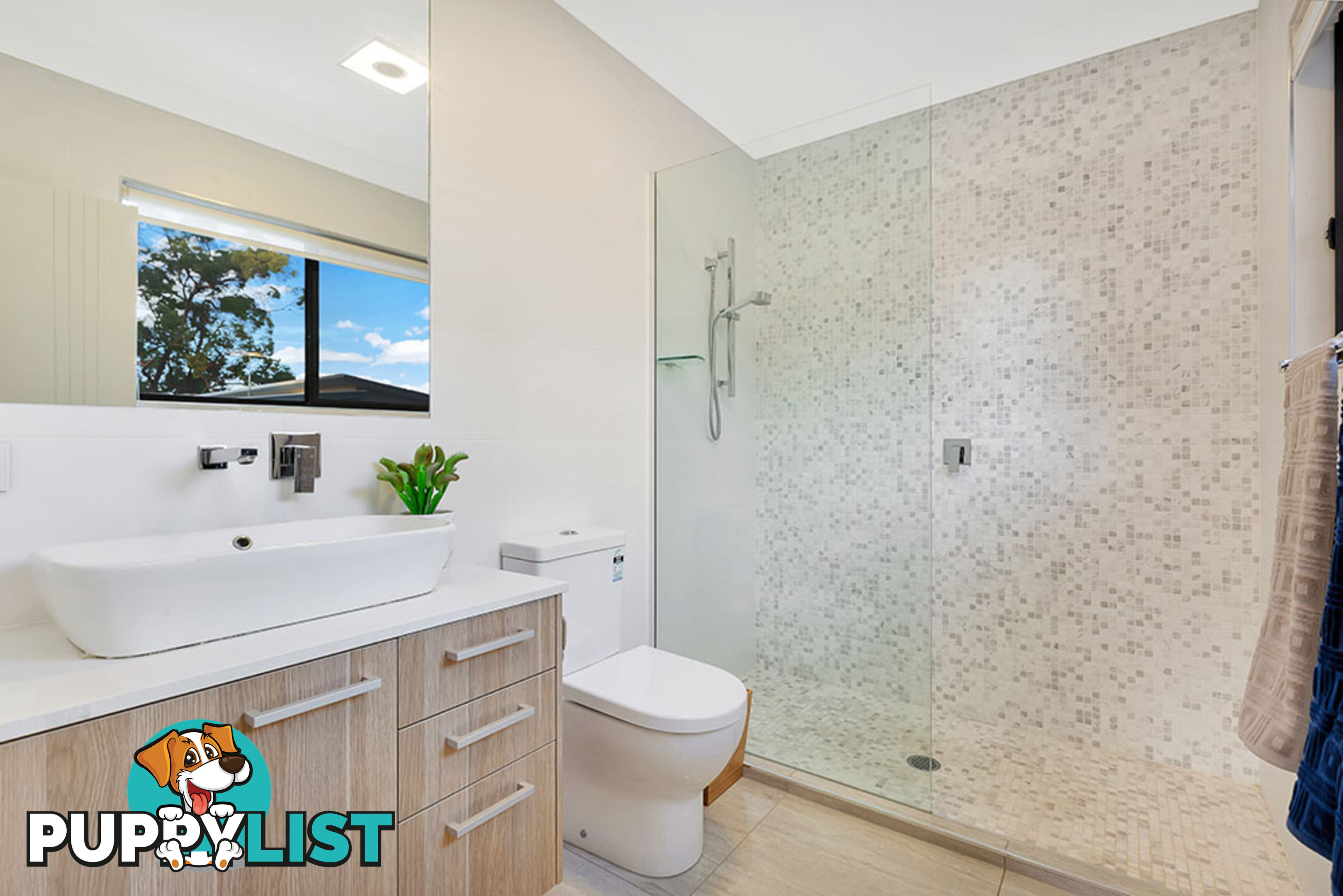 51 Carousel Street Hillcrest QLD 4118