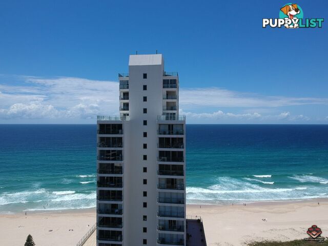 20A Old Burleigh Road Surfers Paradise QLD 4217