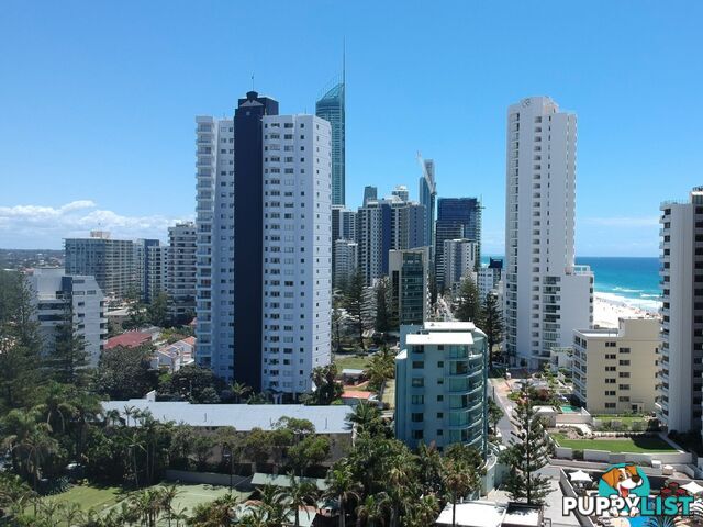 20A Old Burleigh Road Surfers Paradise QLD 4217