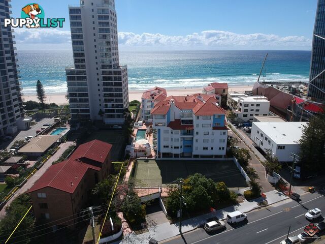 20A Old Burleigh Road Surfers Paradise QLD 4217