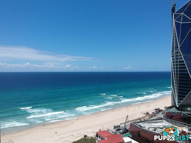 20A Old Burleigh Road Surfers Paradise QLD 4217