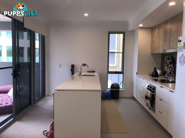 ID:3898115/2 Town Centre Close Carrara QLD 4211