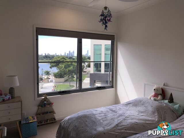 ID:3898115/2 Town Centre Close Carrara QLD 4211