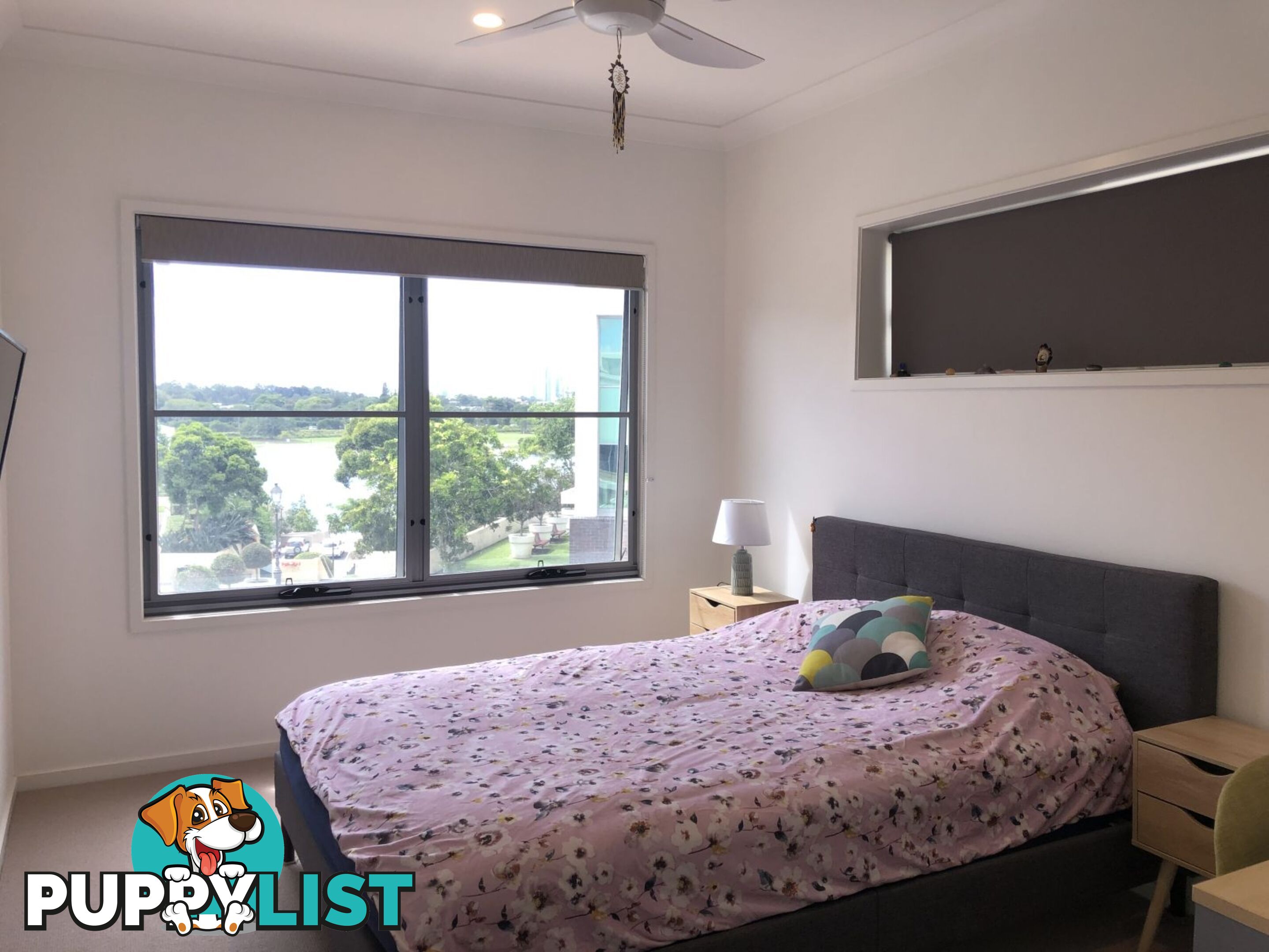 ID:3898115/2 Town Centre Close Carrara QLD 4211
