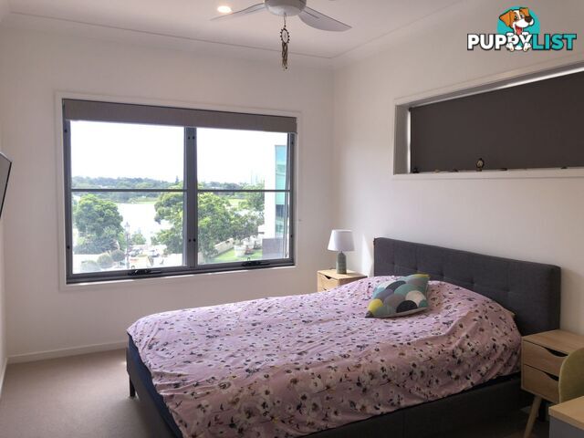 ID:3898115/2 Town Centre Close Carrara QLD 4211