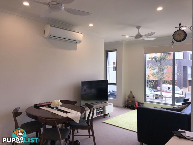 ID:3898115/2 Town Centre Close Carrara QLD 4211
