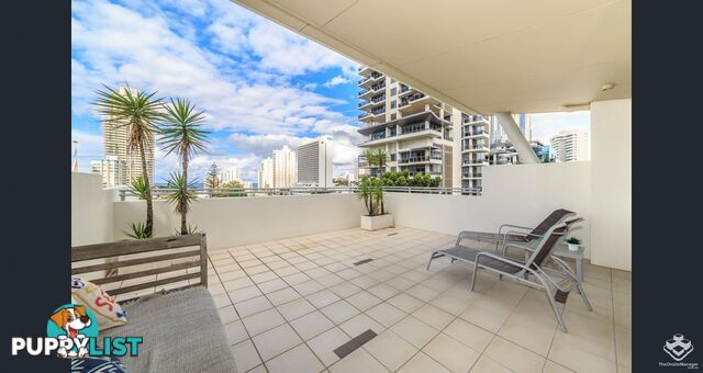 ID:21154167 21-31 Cypress Avenue Surfers Paradise QLD 4217