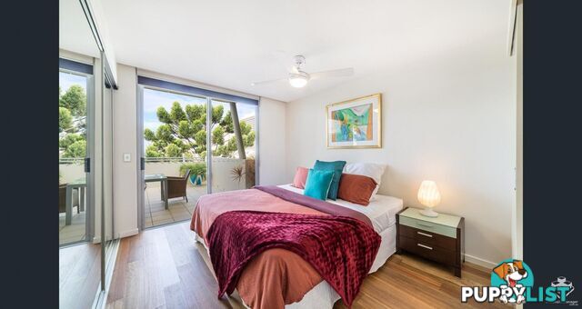 ID:21154167 21-31 Cypress Avenue Surfers Paradise QLD 4217
