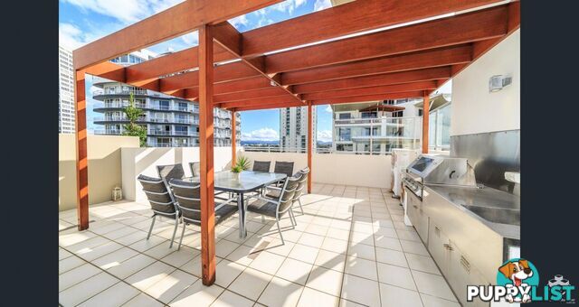 ID:21154167 21-31 Cypress Avenue Surfers Paradise QLD 4217