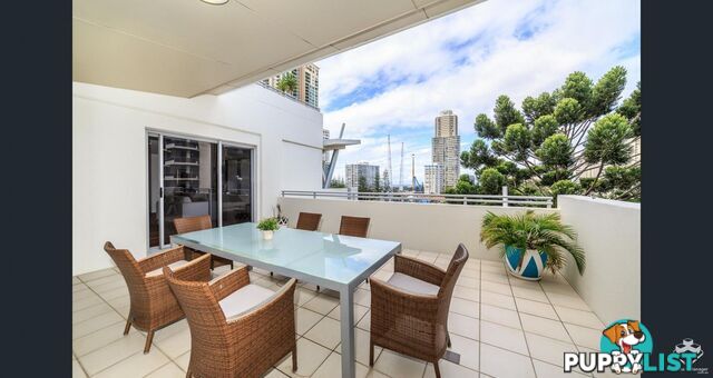 ID:21154167 21-31 Cypress Avenue Surfers Paradise QLD 4217