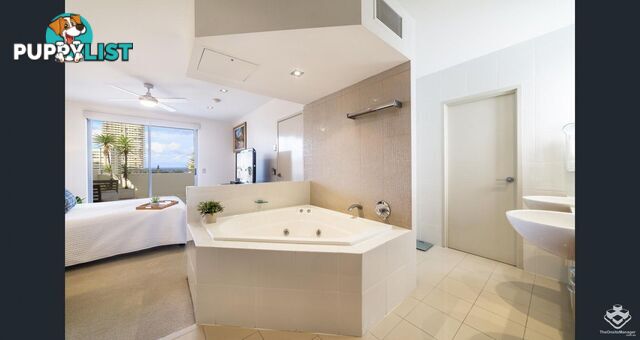 ID:21154167 21-31 Cypress Avenue Surfers Paradise QLD 4217