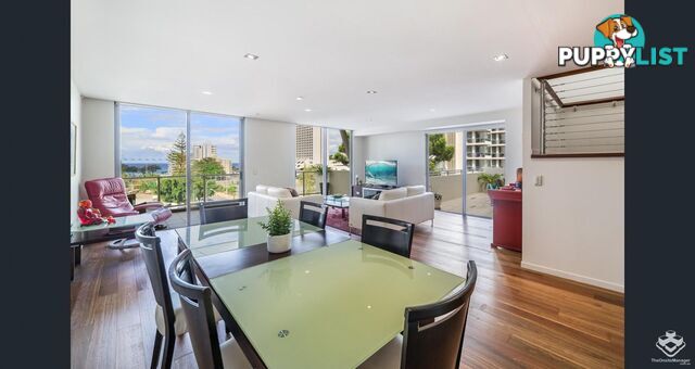 ID:21154167 21-31 Cypress Avenue Surfers Paradise QLD 4217