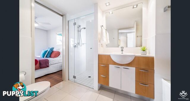 ID:21154167 21-31 Cypress Avenue Surfers Paradise QLD 4217
