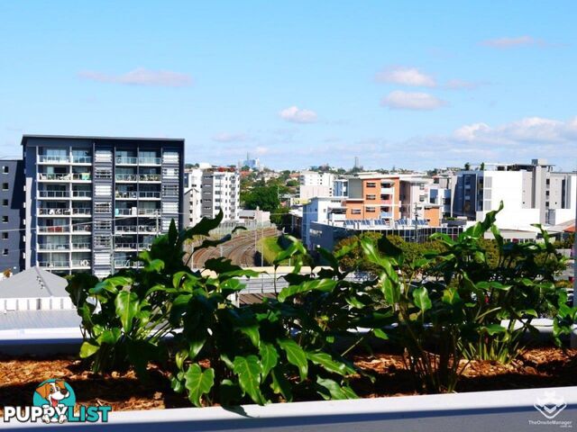 ID:21144373/1 York Street Nundah QLD 4012