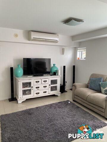 ID:21144393 53 Darrambal Street Chevron Island QLD 4217