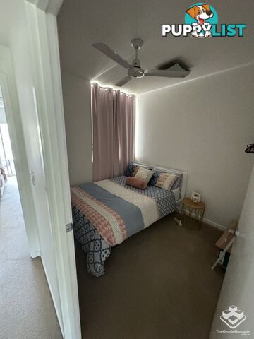 ID:21144393 53 Darrambal Street Chevron Island QLD 4217