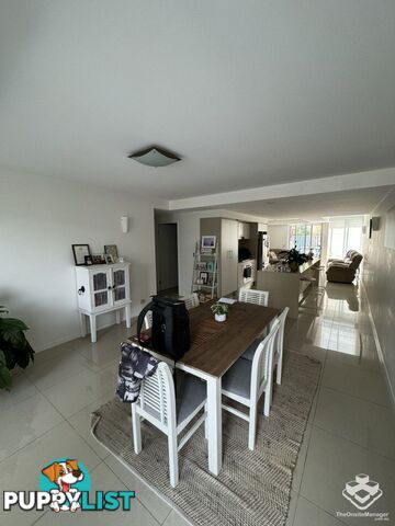 ID:21144393 53 Darrambal Street Chevron Island QLD 4217