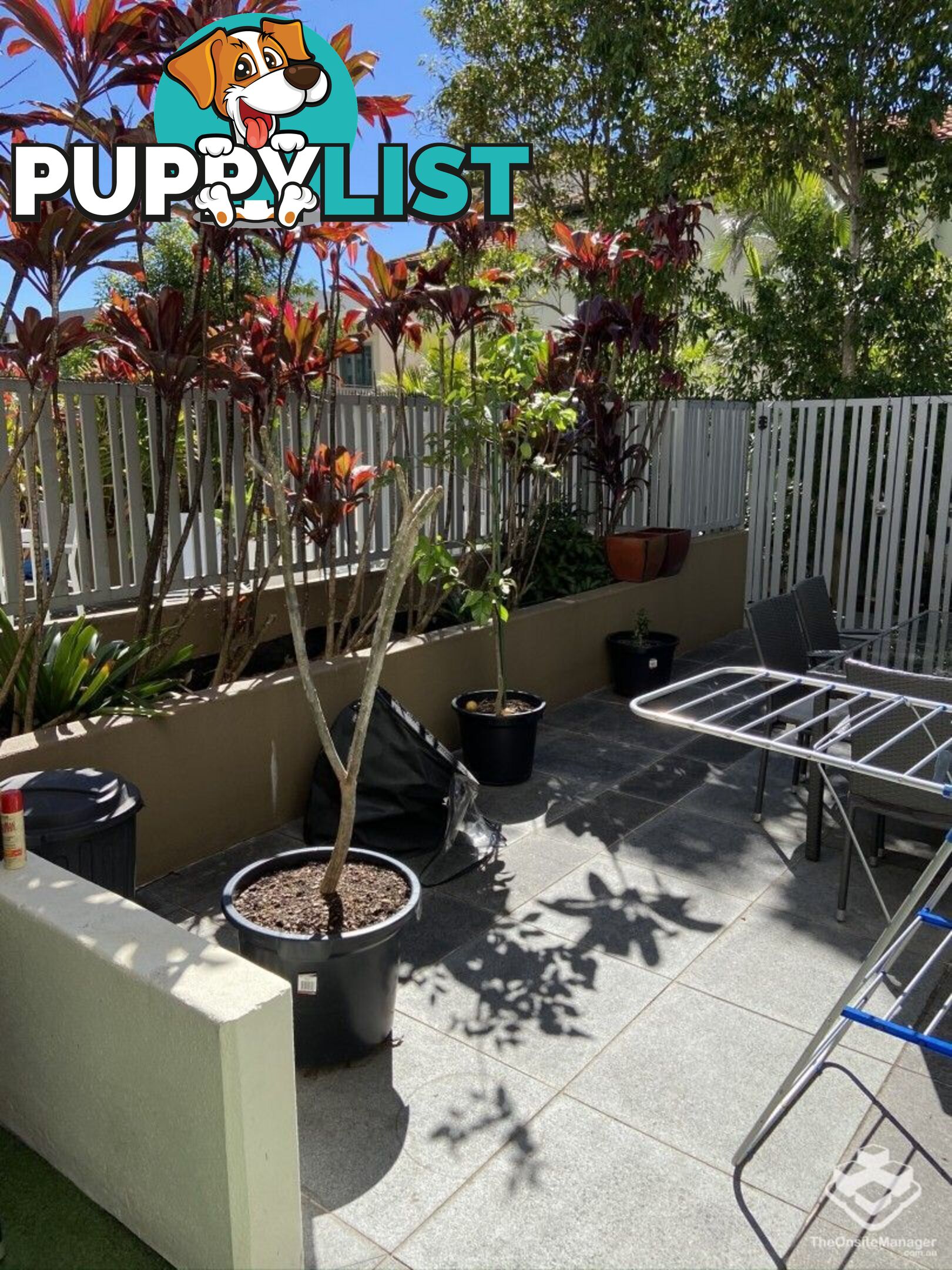 ID:21144393 53 Darrambal Street Chevron Island QLD 4217