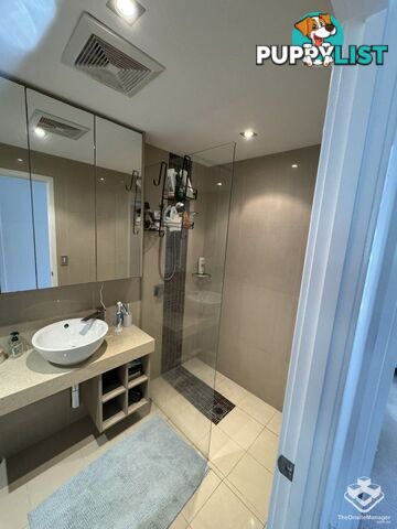 ID:21144393 53 Darrambal Street Chevron Island QLD 4217