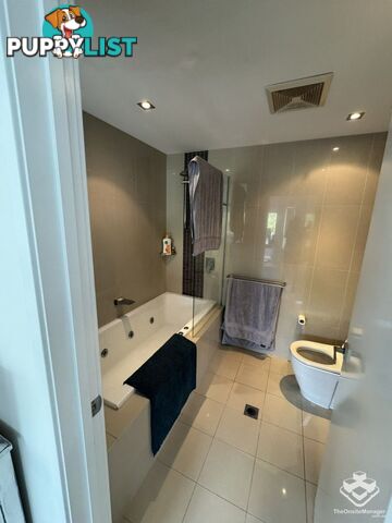 ID:21144393 53 Darrambal Street Chevron Island QLD 4217