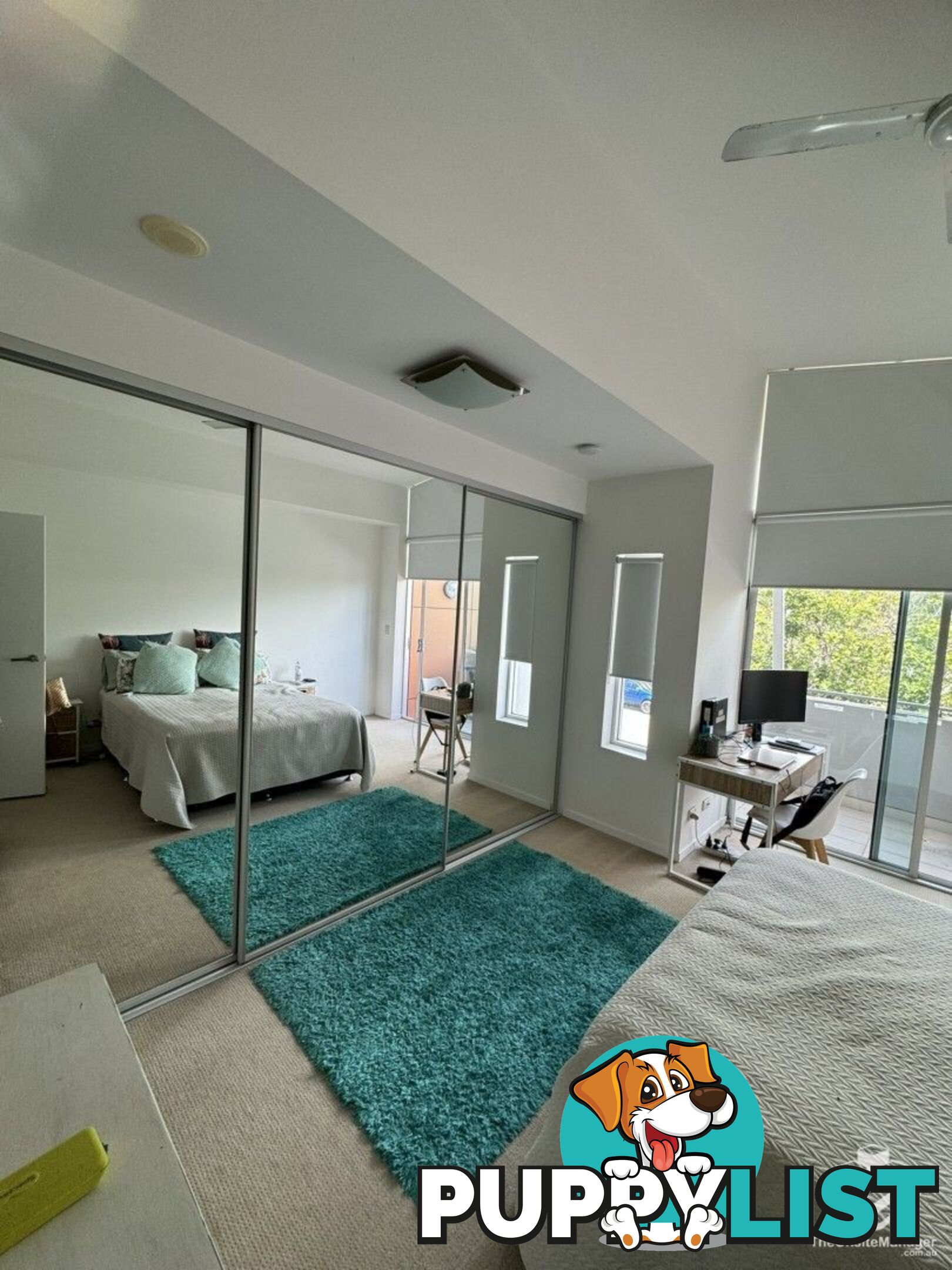 ID:21144393 53 Darrambal Street Chevron Island QLD 4217