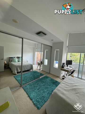 ID:21144393 53 Darrambal Street Chevron Island QLD 4217