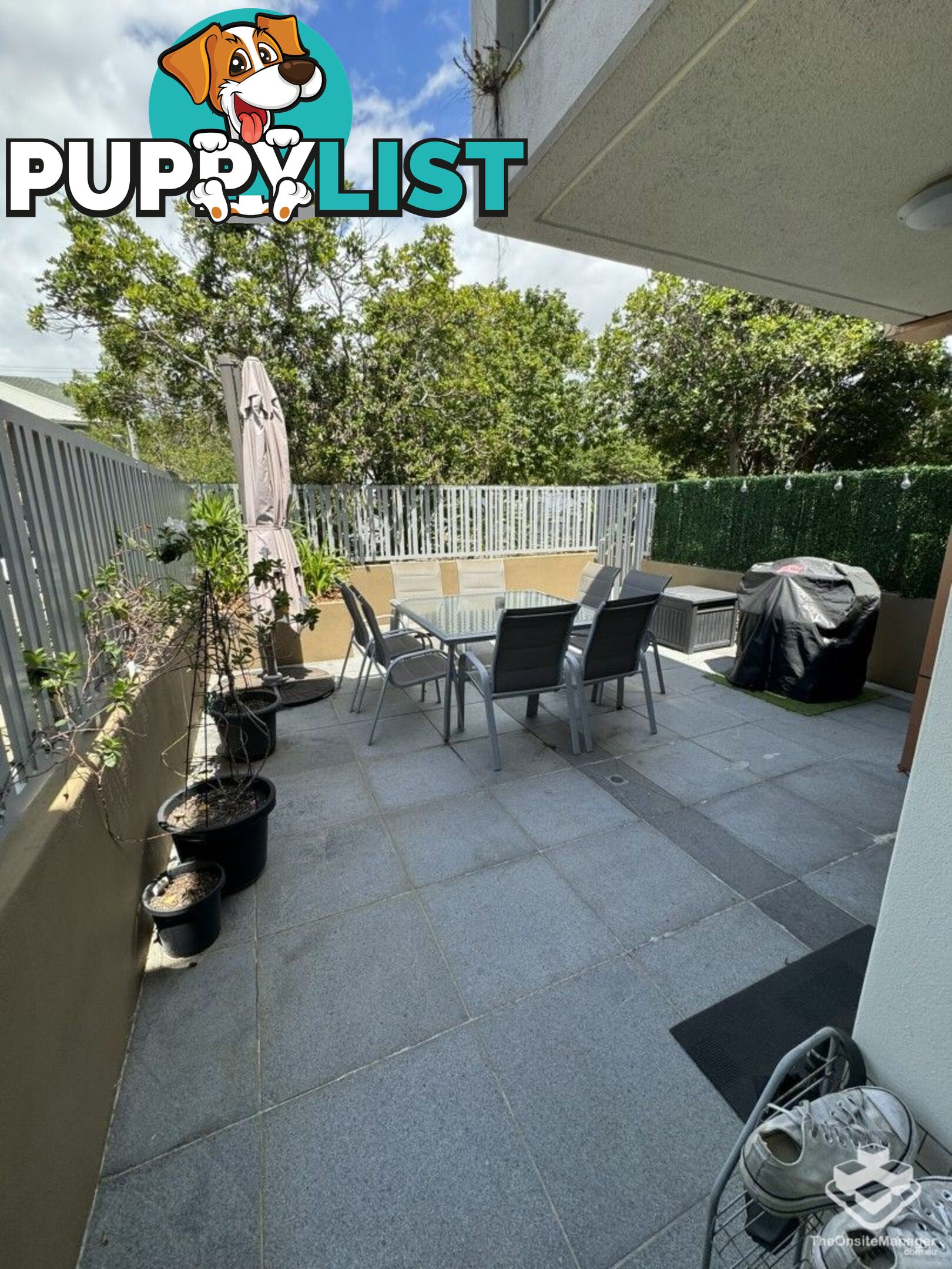ID:21144393 53 Darrambal Street Chevron Island QLD 4217
