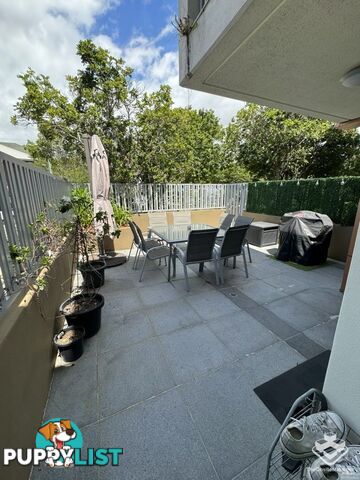 ID:21144393 53 Darrambal Street Chevron Island QLD 4217