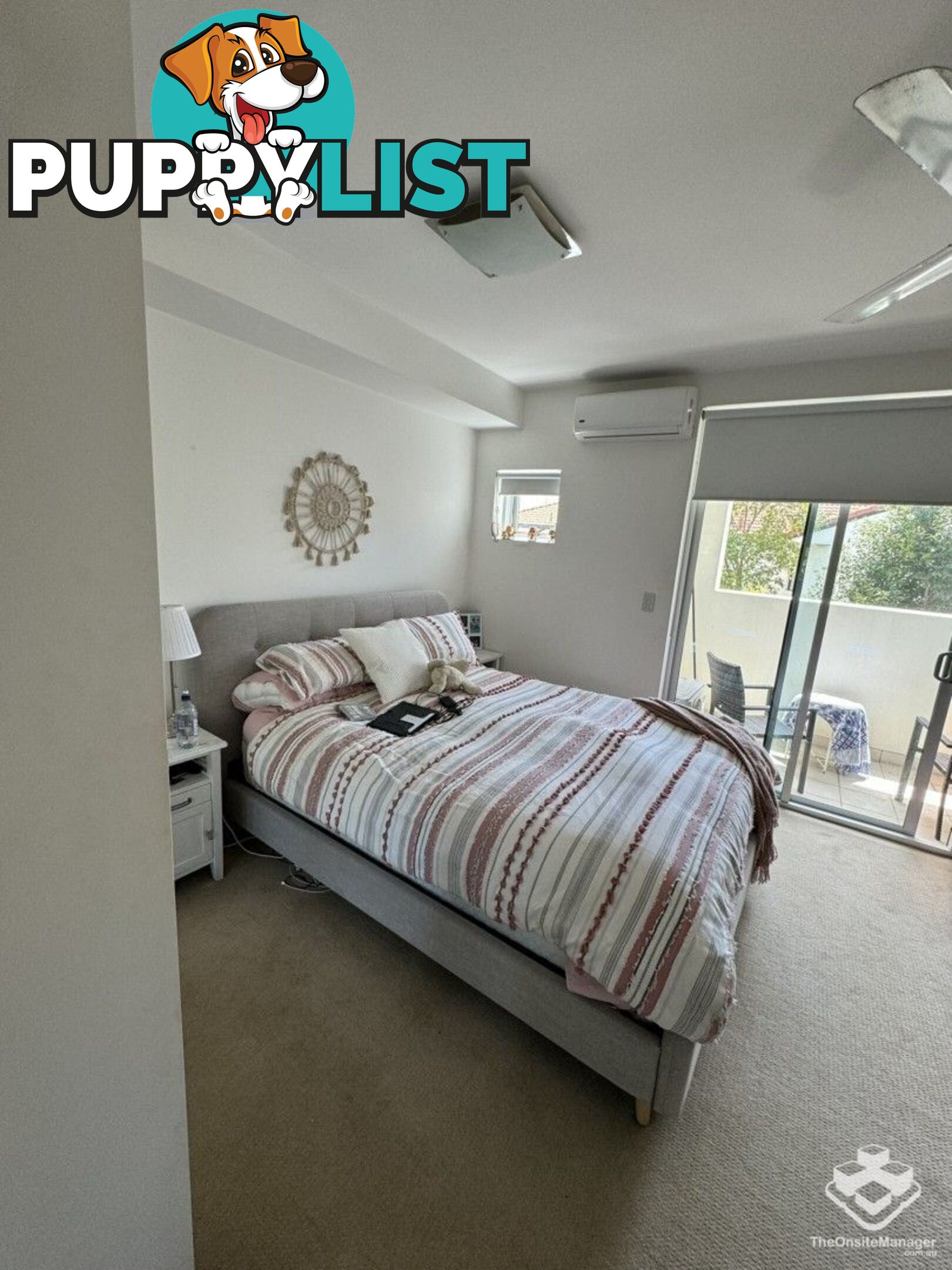 ID:21144393 53 Darrambal Street Chevron Island QLD 4217