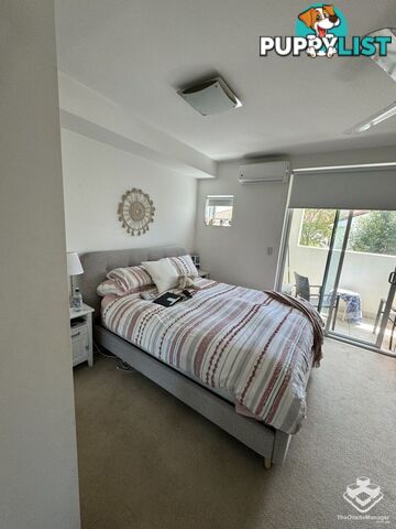 ID:21144393 53 Darrambal Street Chevron Island QLD 4217