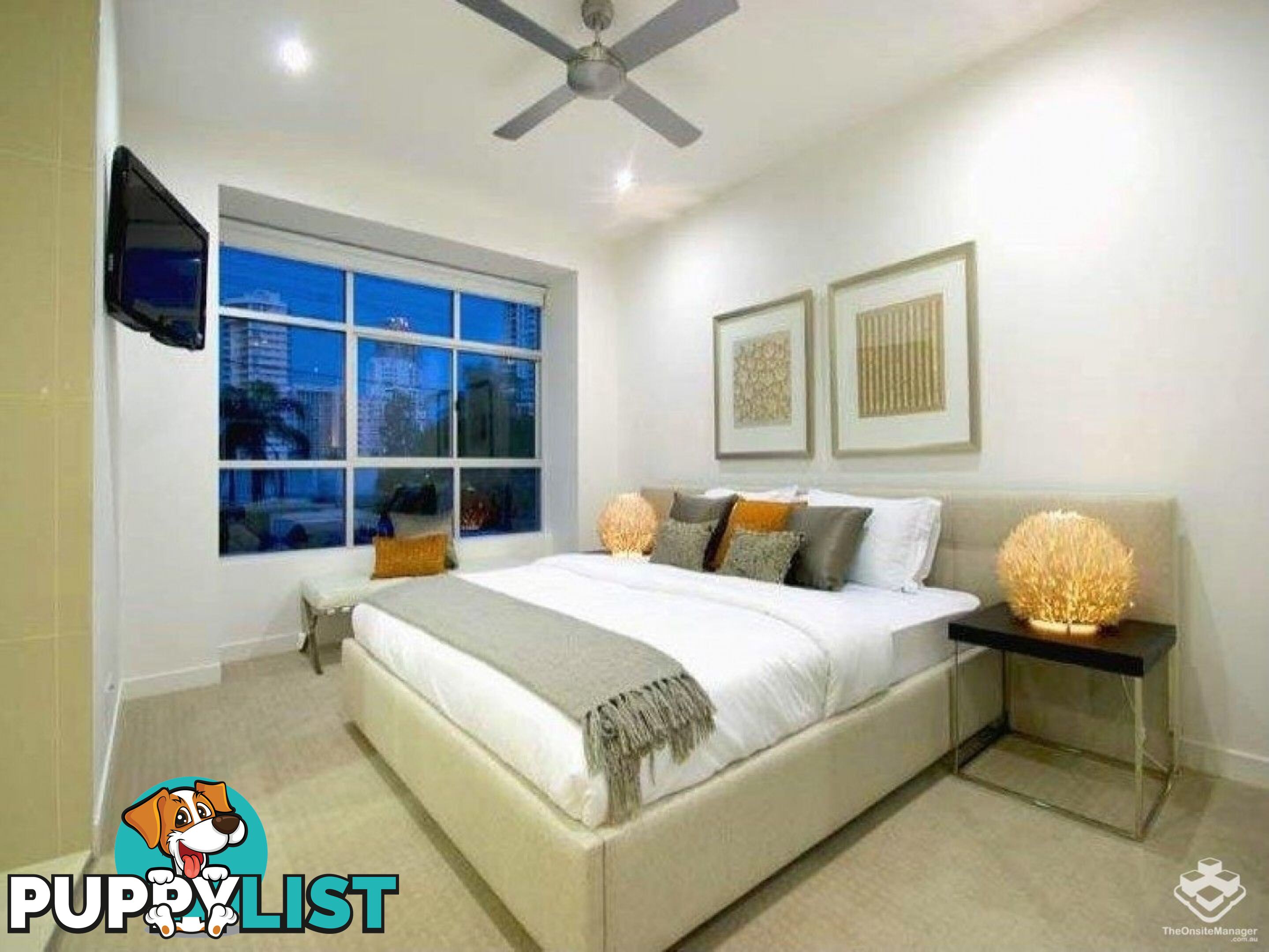 ID:21154432 56 Stanhill Drive Chevron Island QLD 4217