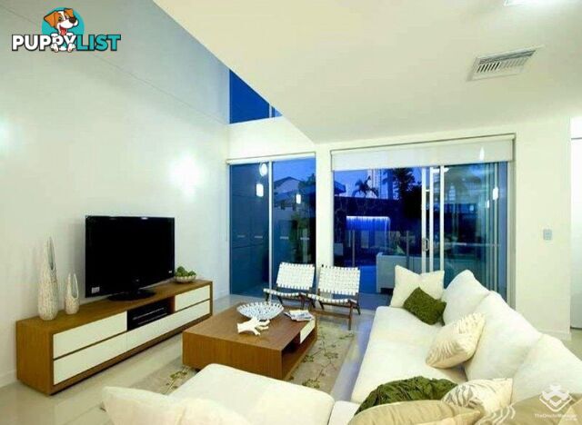 ID:21154432 56 Stanhill Drive Chevron Island QLD 4217