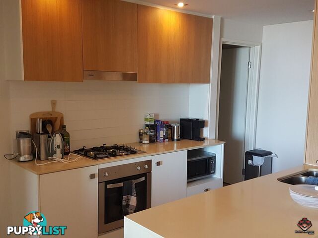 ID:3898521/3027 The Boulevard Carrara QLD 4211