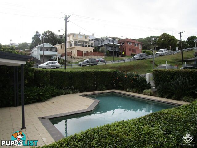 ID:21138153 66 McLean Street Coolangatta QLD 4225