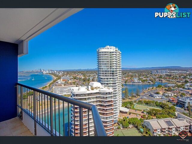 ID:21072923/17 Bayview Street Runaway Bay QLD 4216