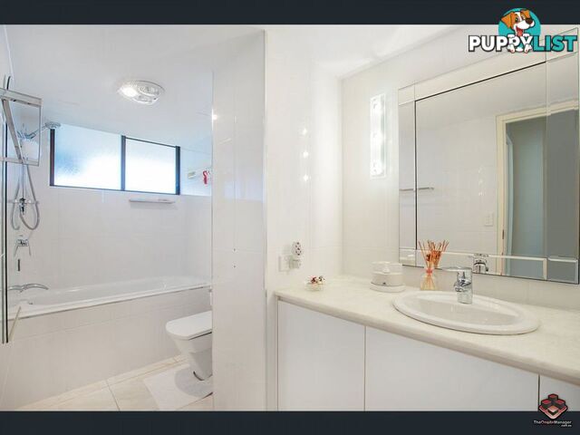 ID:21072923/17 Bayview Street Runaway Bay QLD 4216