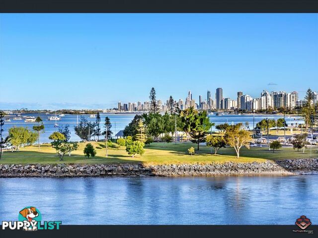 ID:21072923/17 Bayview Street Runaway Bay QLD 4216