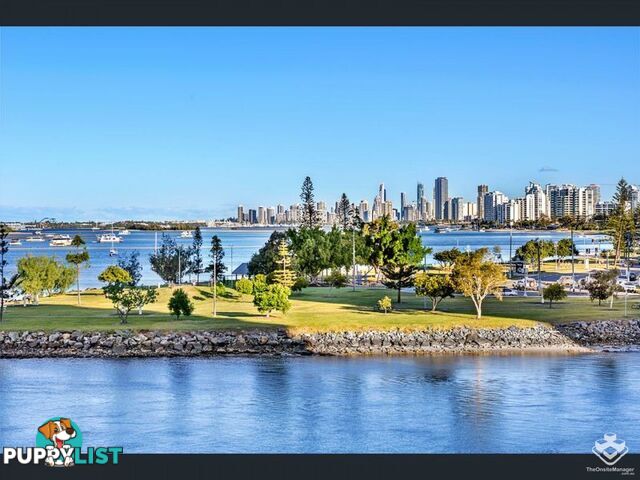 ID:21072923/17 Bayview Street Runaway Bay QLD 4216