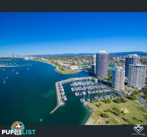 ID:21072923/17 Bayview Street Runaway Bay QLD 4216