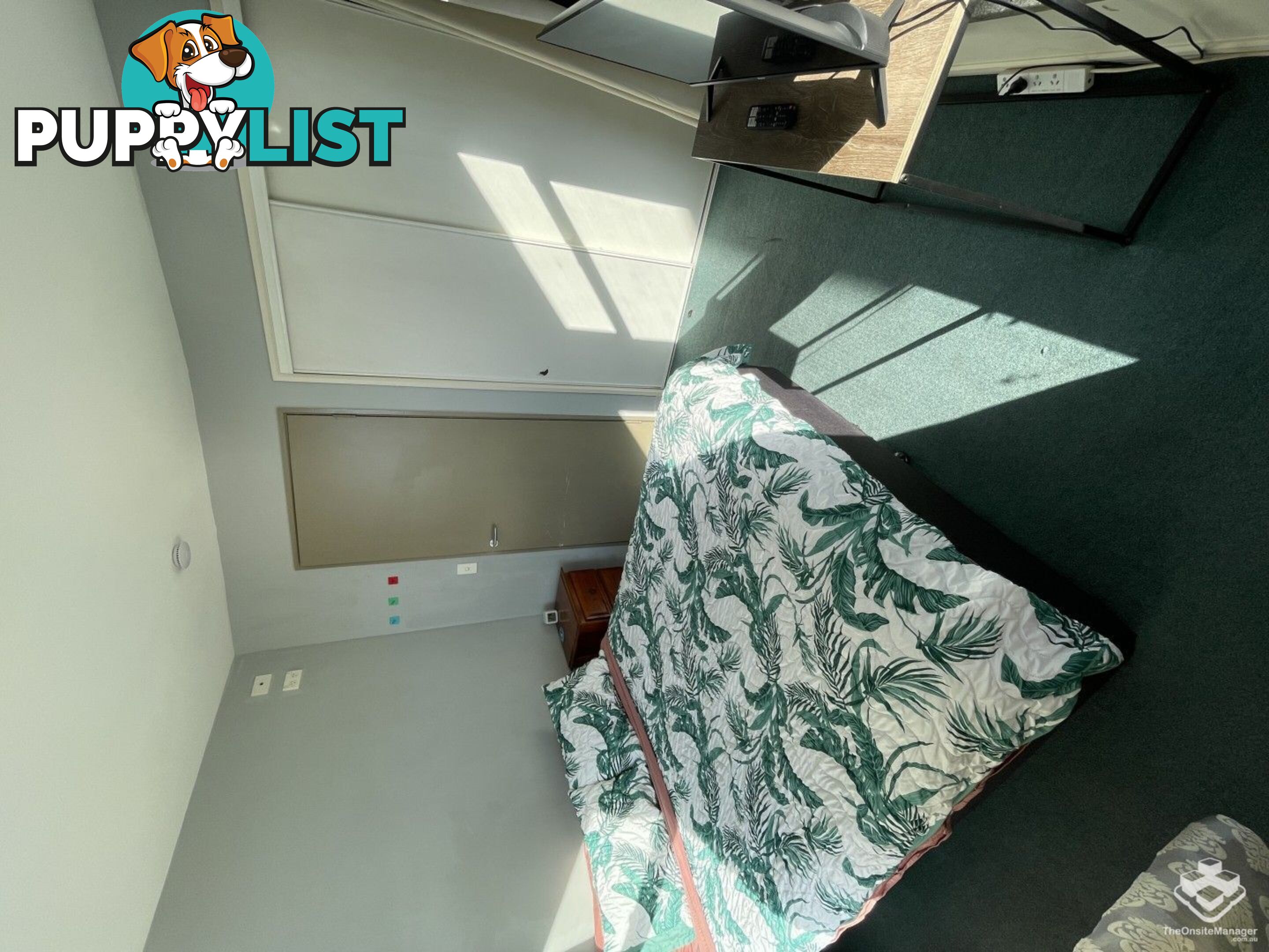 ID:21157768 119 Leichhardt Street Spring Hill QLD 4000