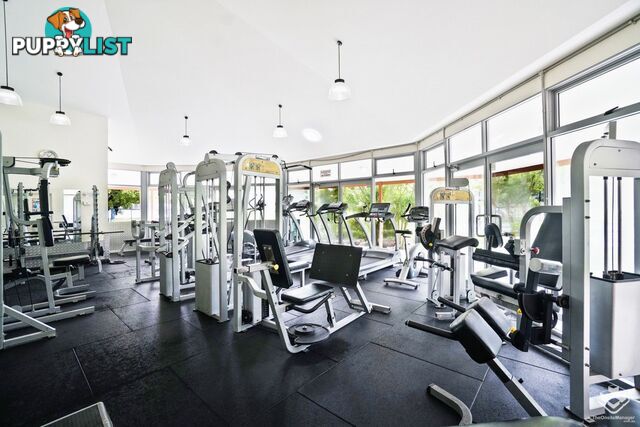 18/10 Webb Street Croydon NSW 2132