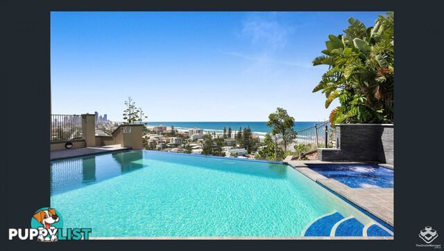 ID:21157923 1 Great Hall Drive Miami QLD 4220