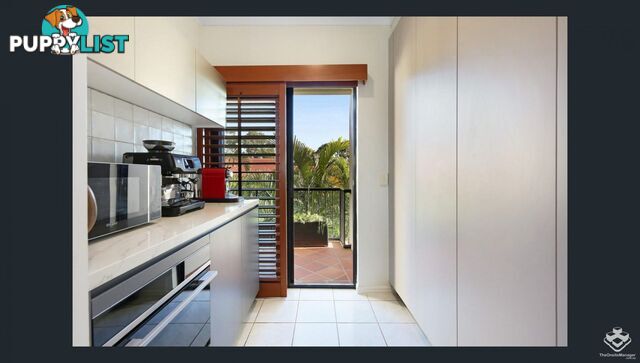 ID:21157923 1 Great Hall Drive Miami QLD 4220