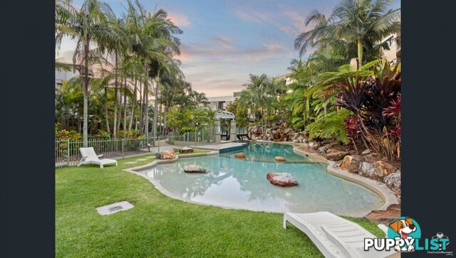 ID:21157923 1 Great Hall Drive Miami QLD 4220